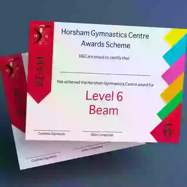 HGC Award Beam Level 6 Certificate & Medal